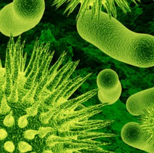 product-313-311
