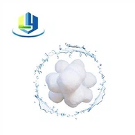 Filter Ball untuk Pengolahan Air Kolam Renang