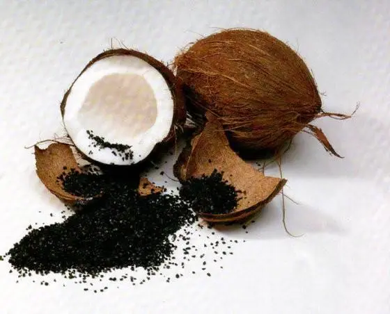 Pasokan Pabrik Karbon Aktif Tempurung Kelapa Granular Arang Tempurung Kelapa Karbon Aktif Food Grade