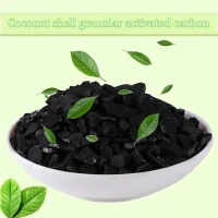 25 kg Karbon Aktif Batok Kelapa Granular Karbon Arang Batok Kelapa Harga Per Kg Dijual