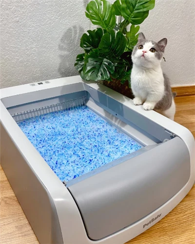 Tahu Kotoran Kucing Sampel Gratis Perlengkapan Pembersih Hewan Peliharaan Grosir Silica Gel Kotoran Kucing