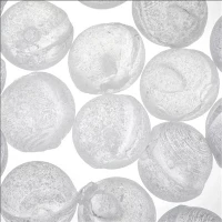 Pengolahan Air 1mm 3mm 6mm 10mm 20mm Bola Antiskala RO Kristal Polifosfat Siliphos Granular